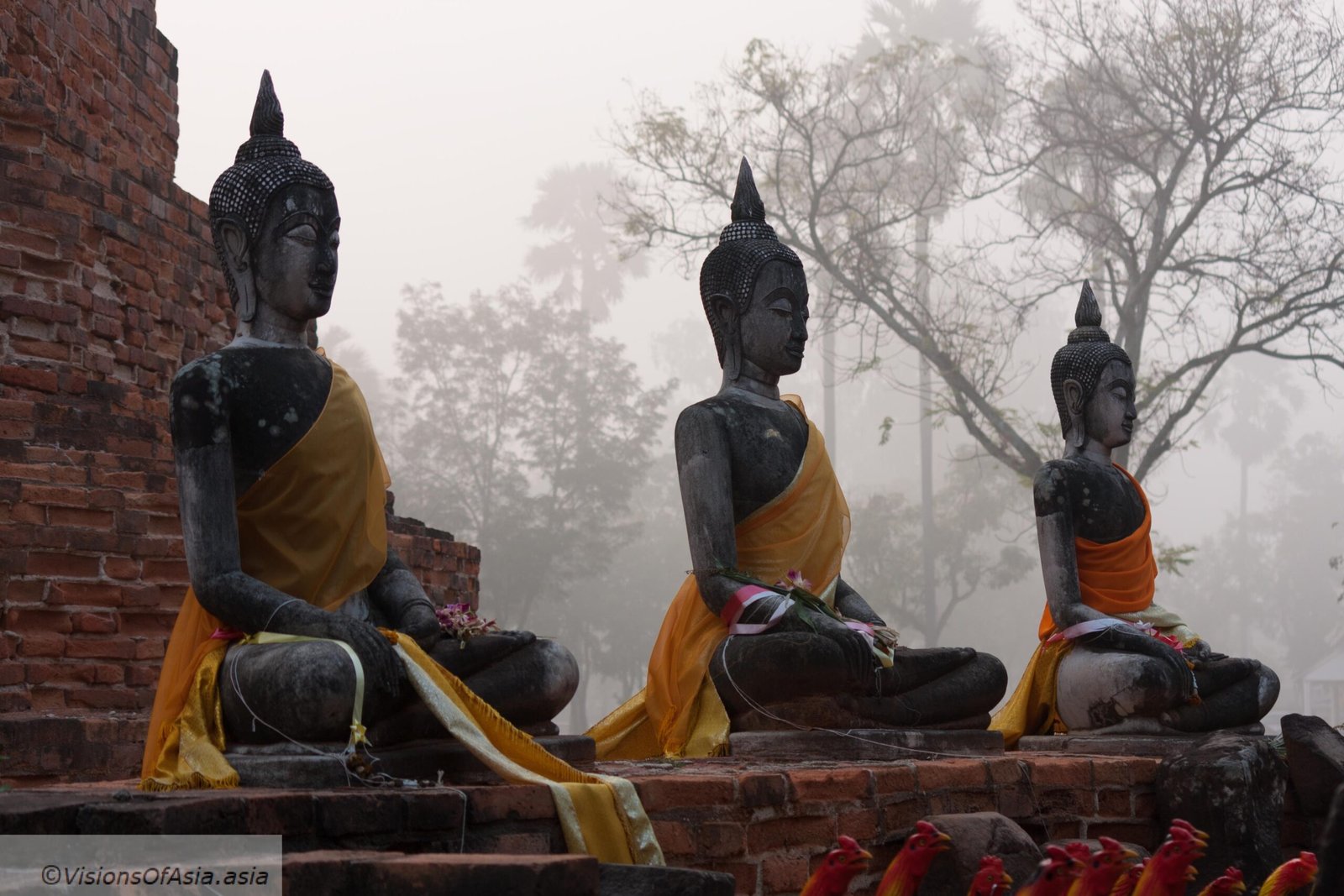 3 Buddhas in morning fog