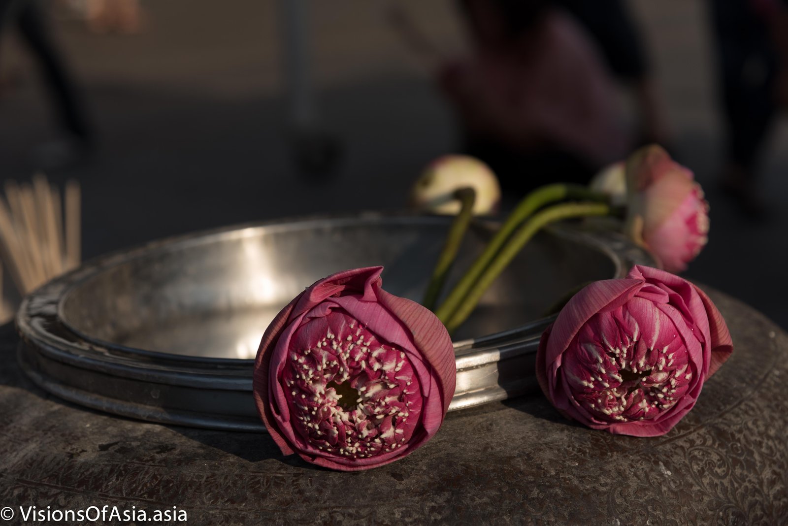 Lotus flowers