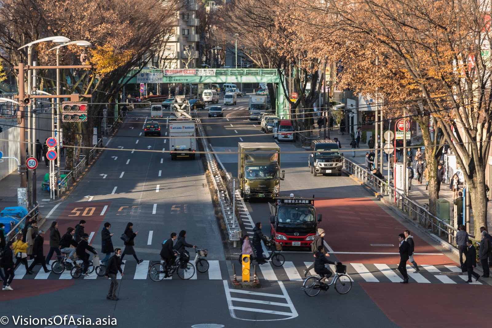 Tokyo crossing