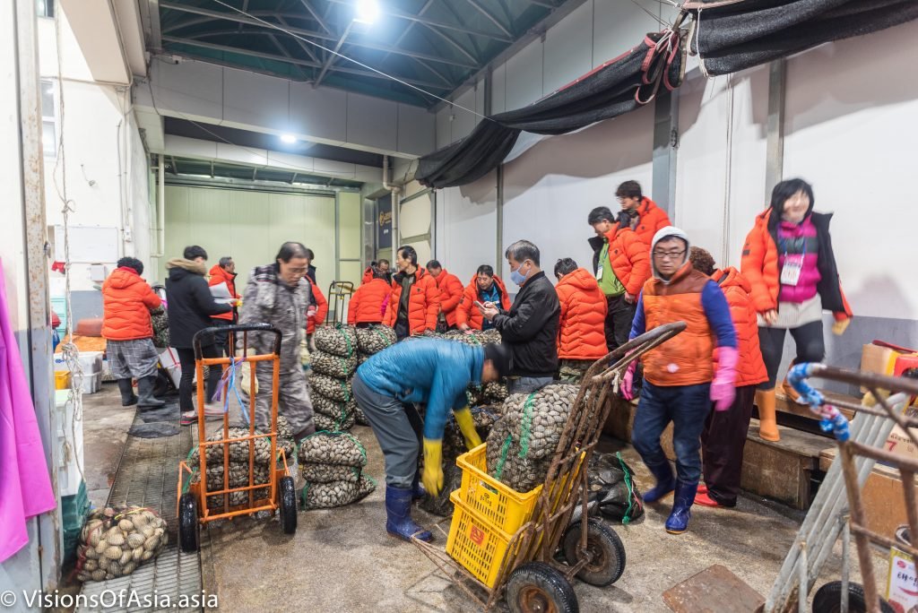 Auction at Jagalchi fish market