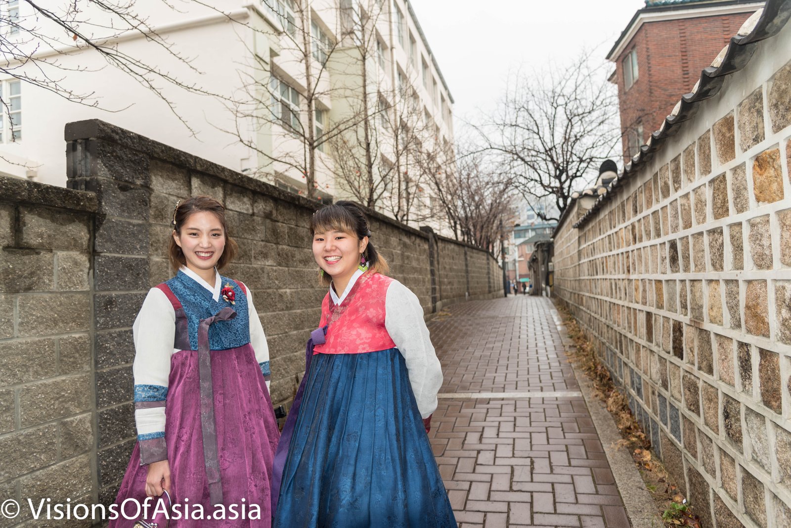 Japanese Beauties in hanbok