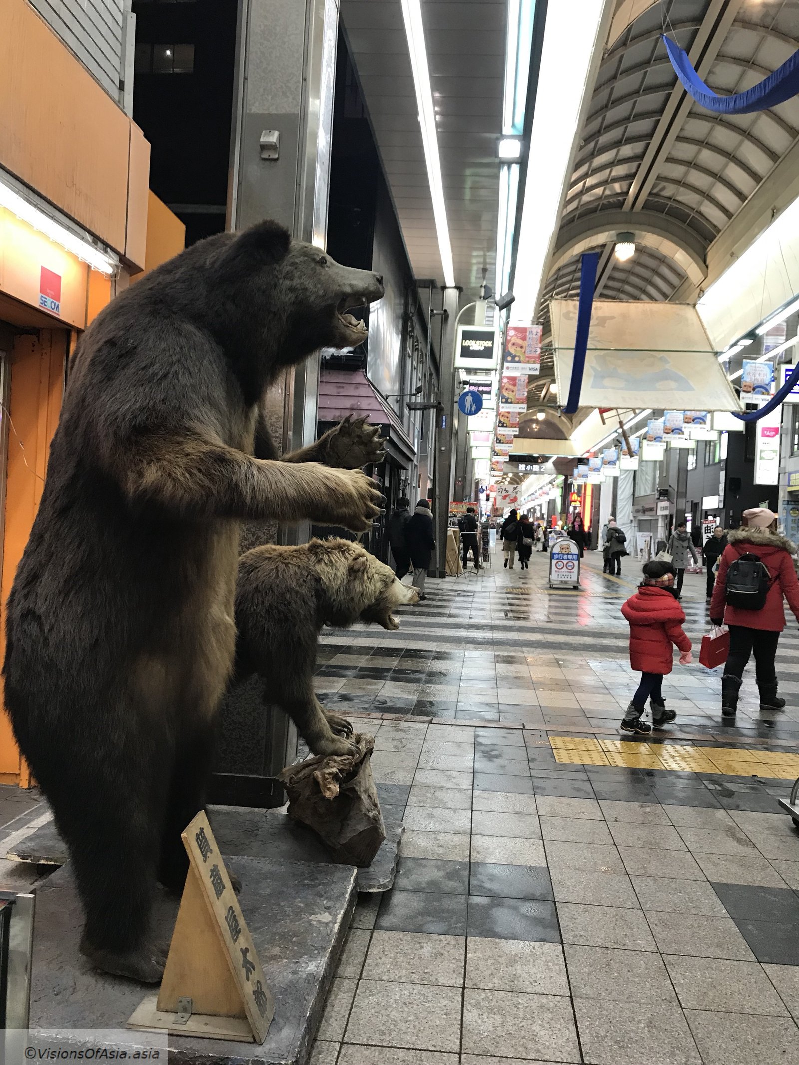 Bear in Tanukikoji