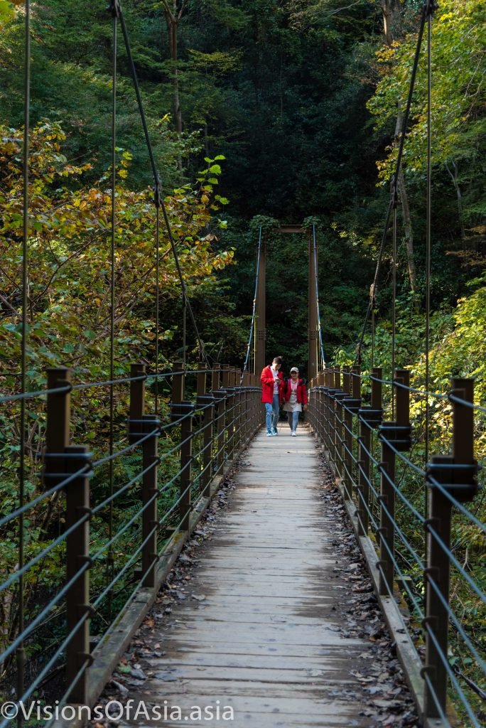 The suspension bridge