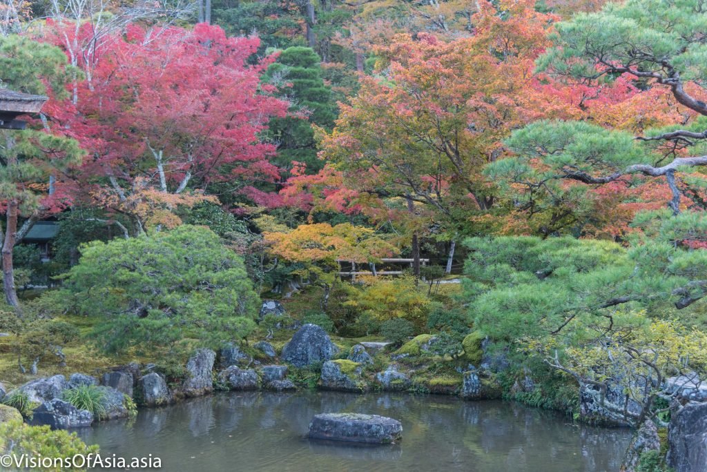 A pond seen in Ginkakuji shrine with fall colors.
