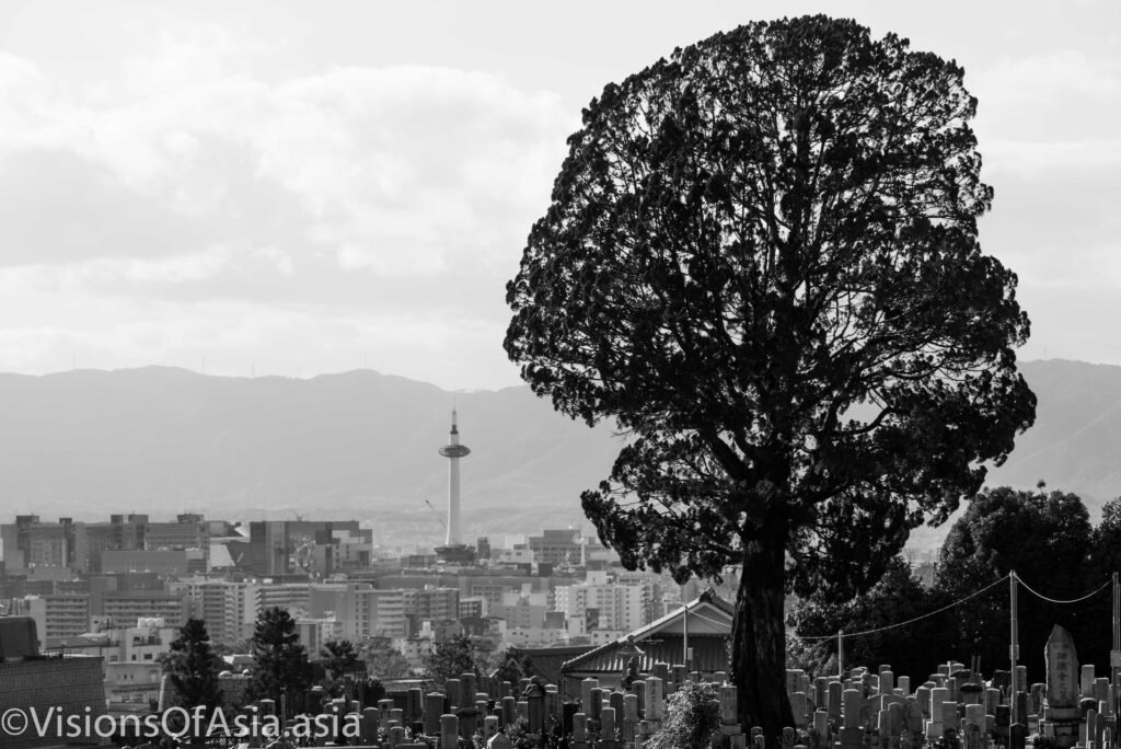 A view from the summits of Kyoto's old city