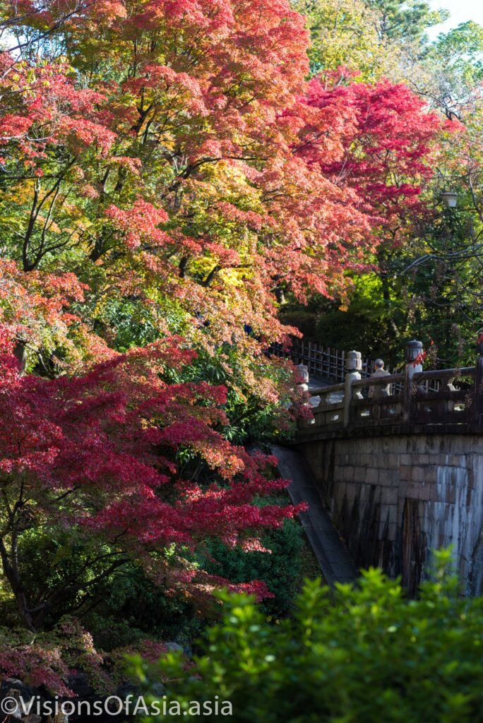 An old bridge in kyoto, surrounded by fall foliage.